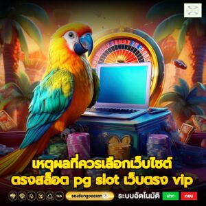 เหตุผลที่ควรเลือกเว็บไซต์ตรงสล็อต pg slot เว็บตรง vip